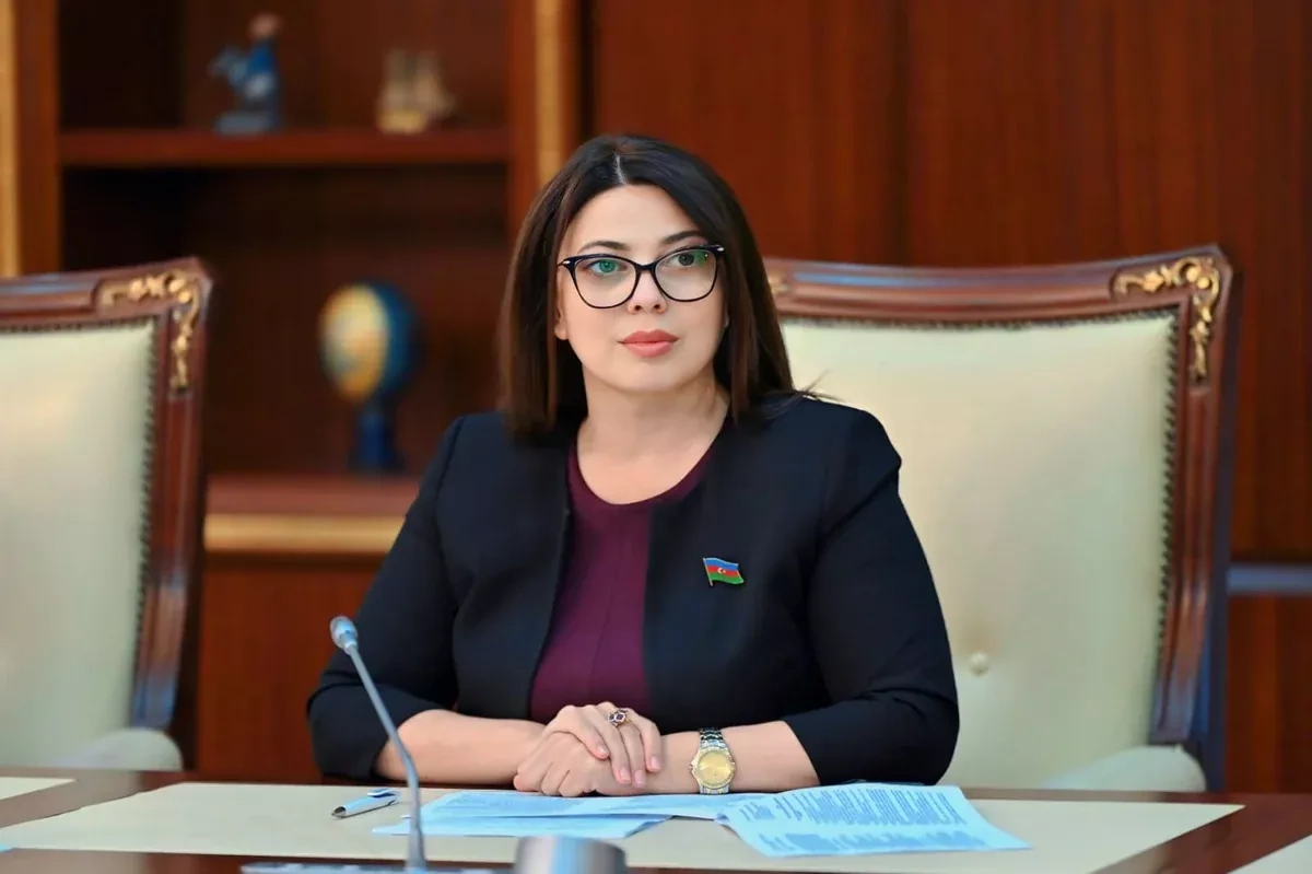 Azerbaijani lawmaker elected vice-chair of BSEC PA committee