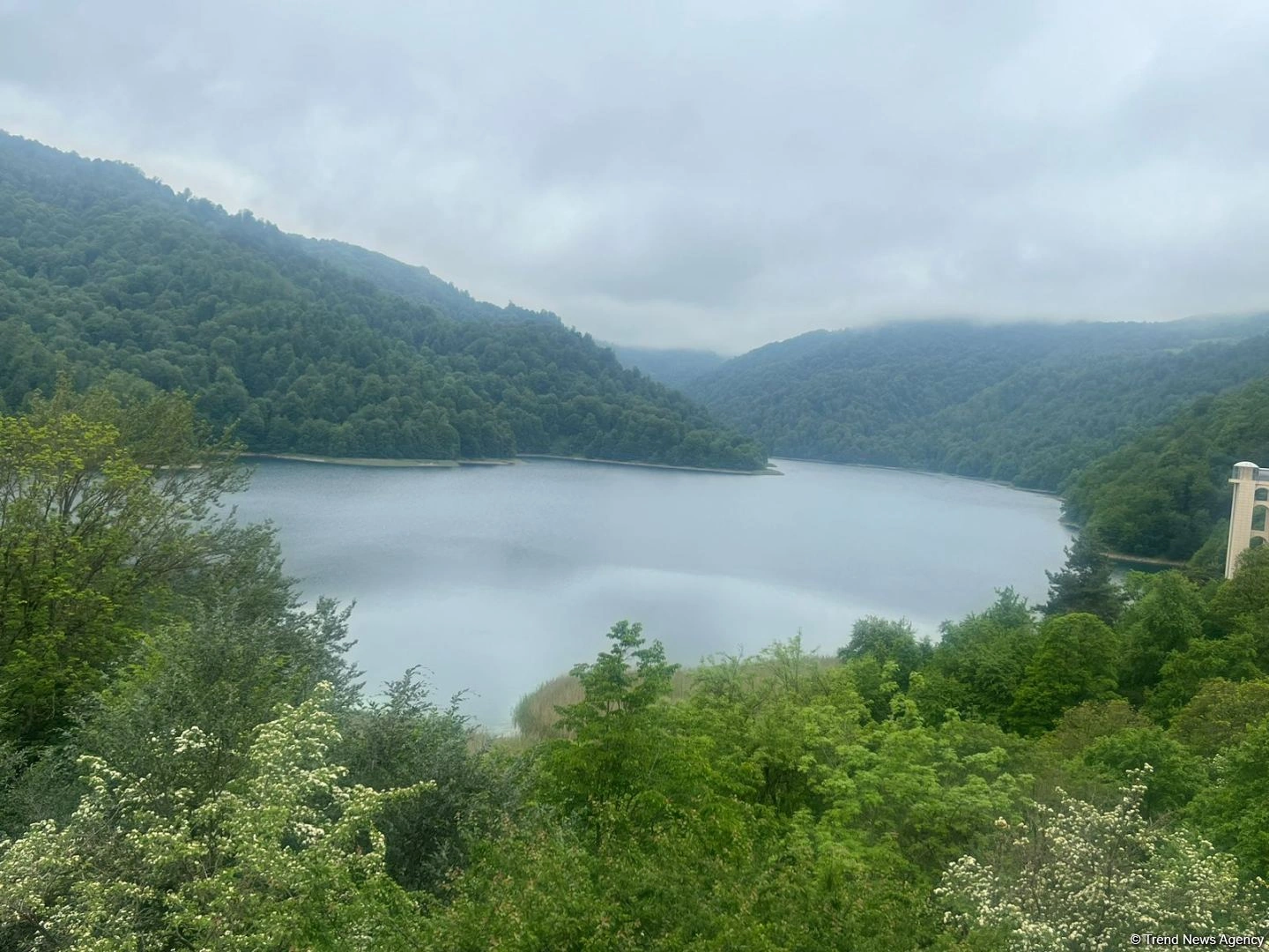 Azerbaijan to leverage drones for monitoring forests