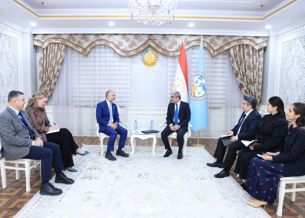 Tajikistan, OSCE discuss prospects for expanding cooperation