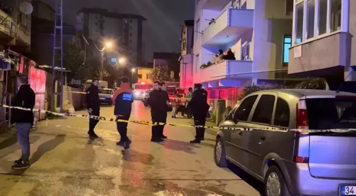 Istanbul fire claims lives of three children photo