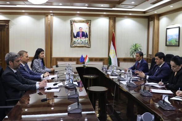 Tajikistan and EU discuss expanding environmental cooperation