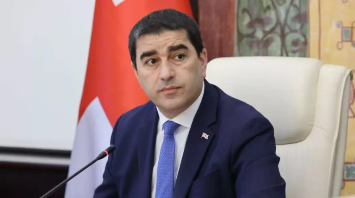 Georgian speaker slams Western pressure over sanctions demands on Russia