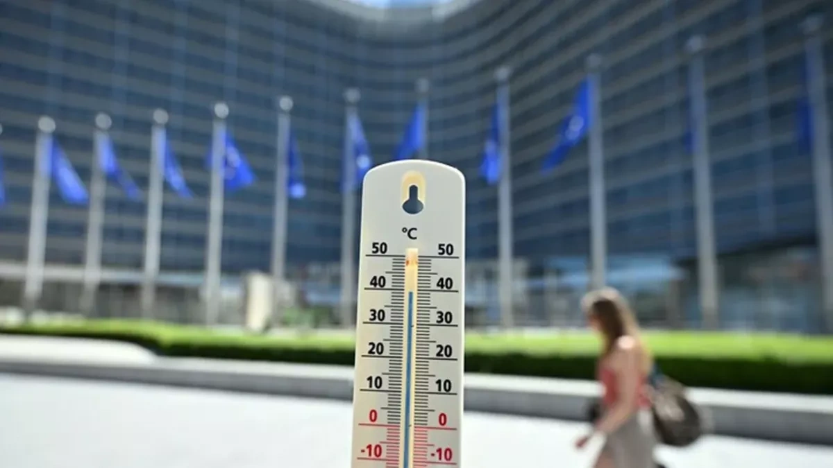 Belgium reports 39% surge in deaths during heatwave