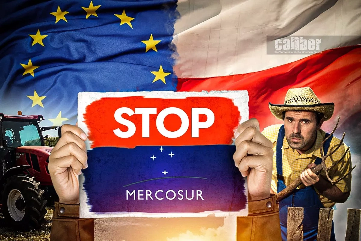Polish farmers rise against MERCOSUR Tractors vs. Brussels