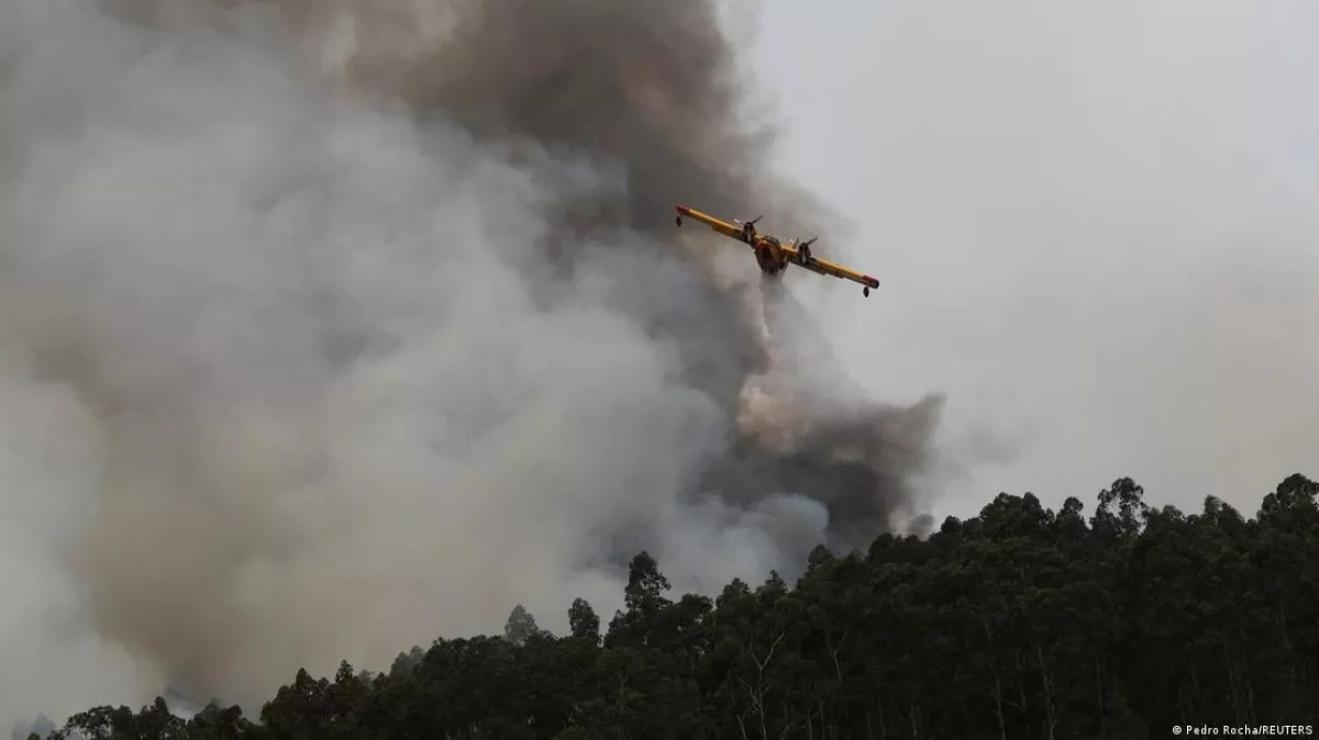 Blazing heat fuels deadly wildfires across Europe PHOTO