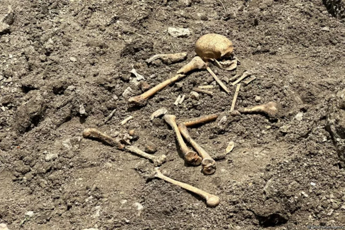 Archaeological find in Azerbaijan’s Aghdam points to human burial site