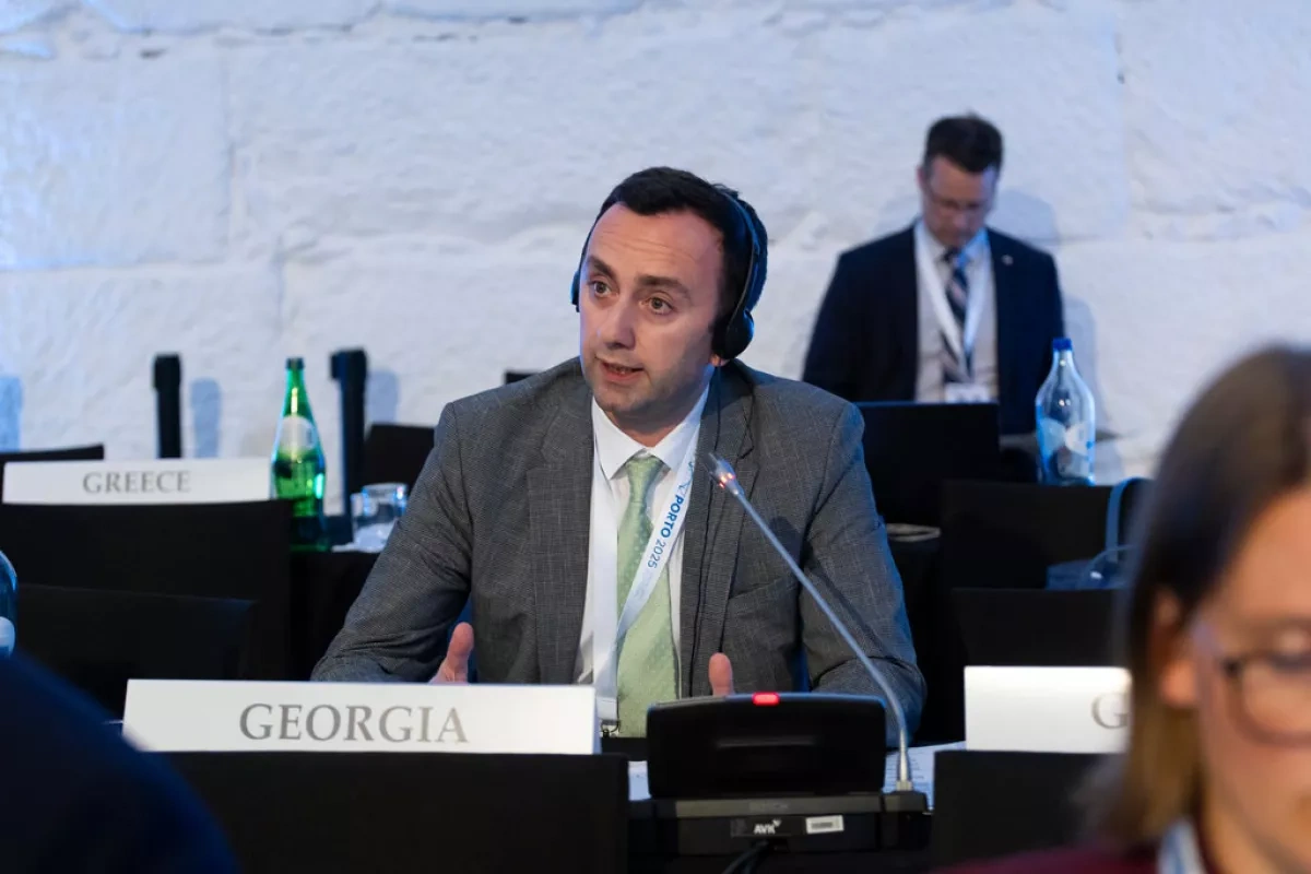 Georgian lawmaker says EU commissioner "lost" to US