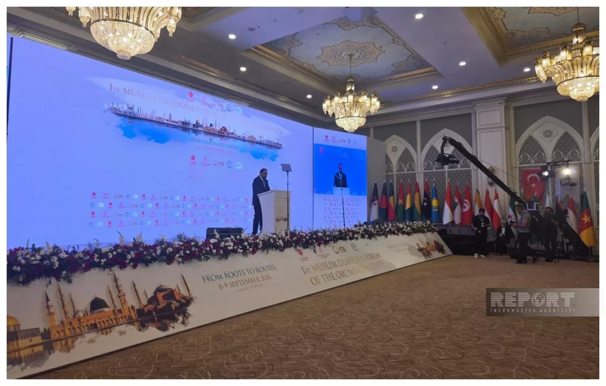 Azerbaijani president supports stronger ties with diaspora, official says PHOTO