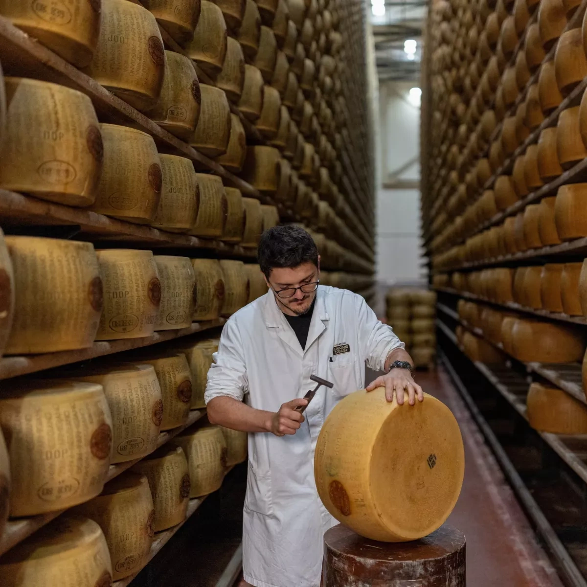 Italy’s heatwave puts Parmigiano Reggiano producers under pressure