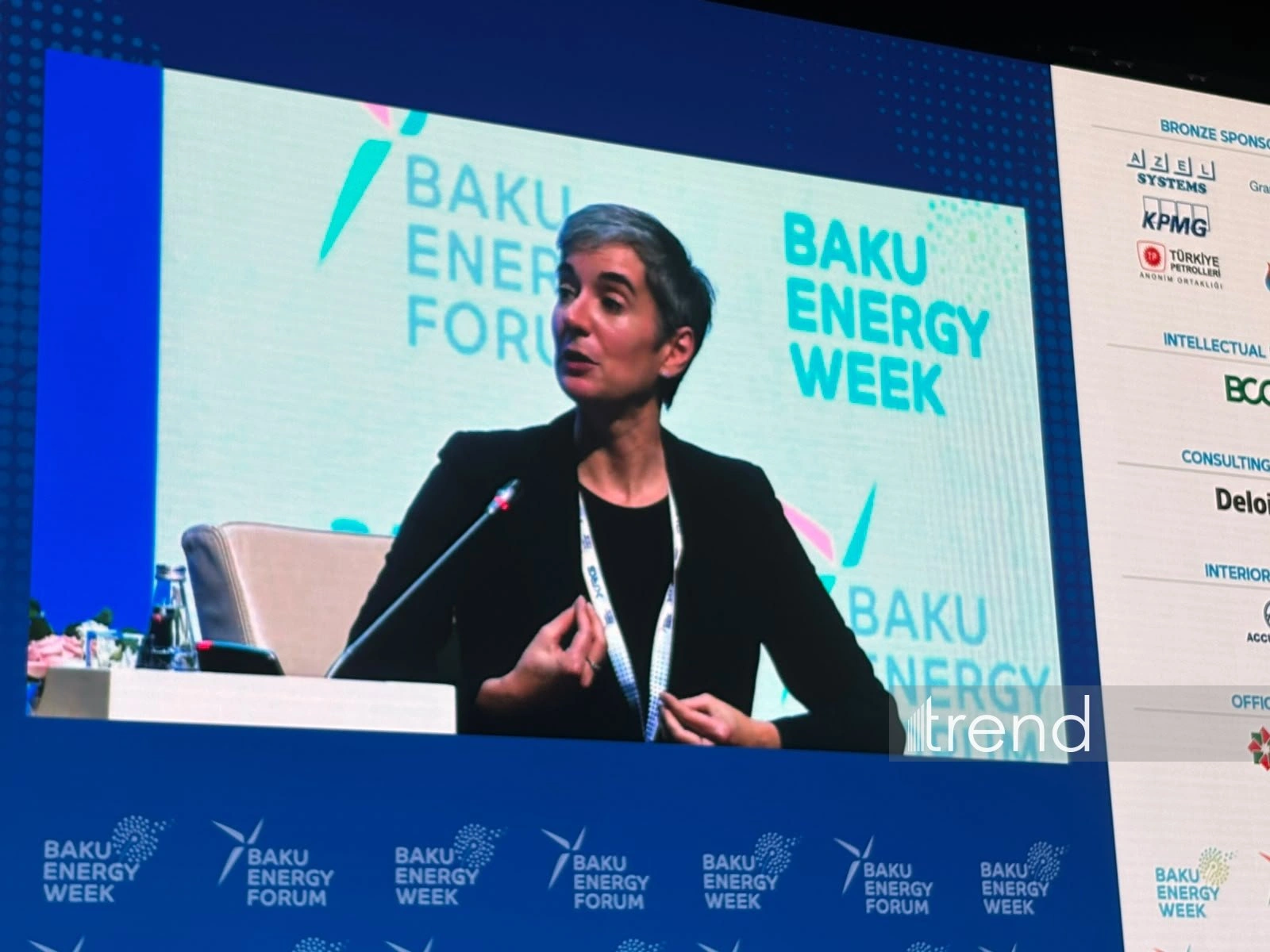 World Bank warns of energy security gaps in renewable-rich Central Asia