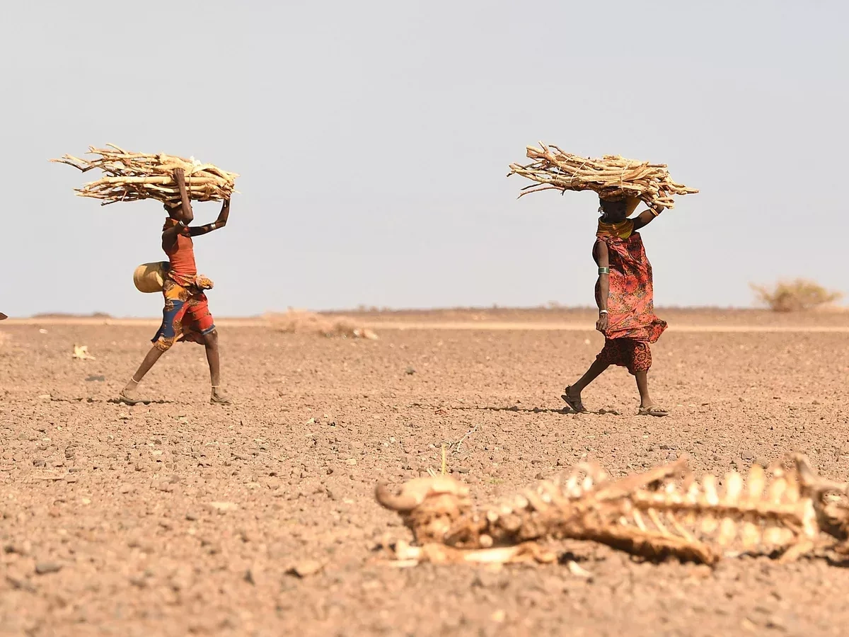 "Polycrisis" brewing in Horn of Africa as climate, conflict and aid cuts converge