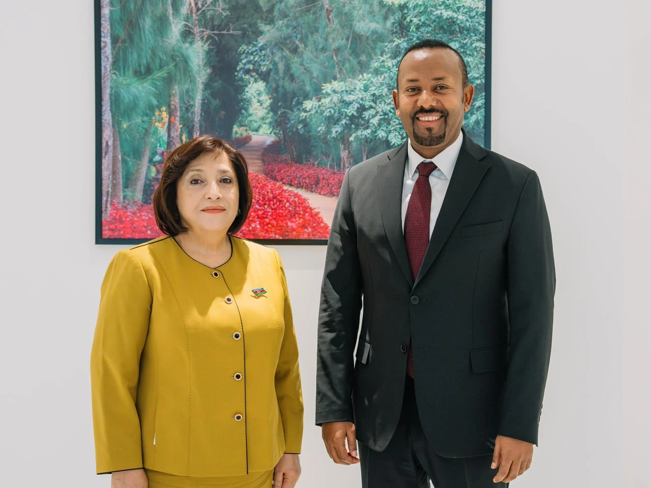 Azerbaijan's Parliament Speaker, Ethiopian PM review bilateral ties