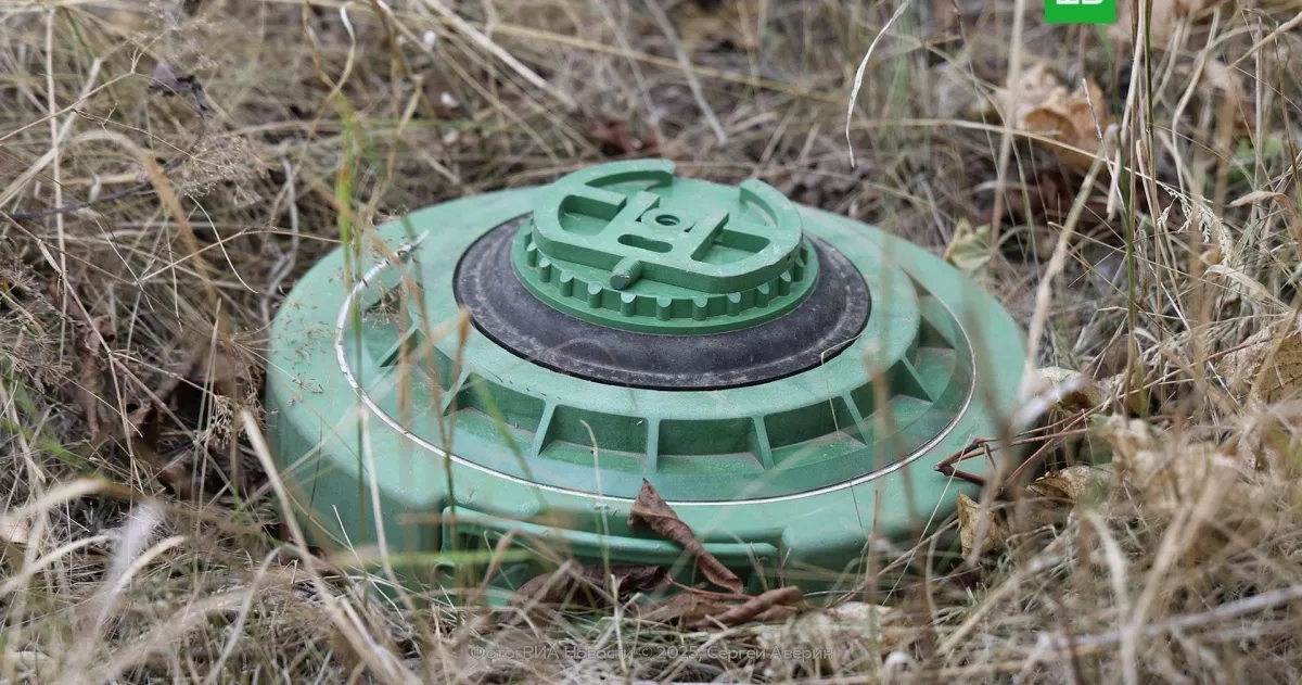 Estonia advances bill to permit anti-personnel mine transit