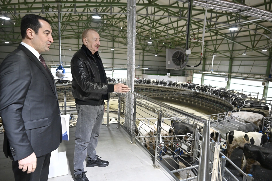President Ilham Aliyev attends opening of Shirvan Agro livestock complex in Shamakhi (PHOTO)