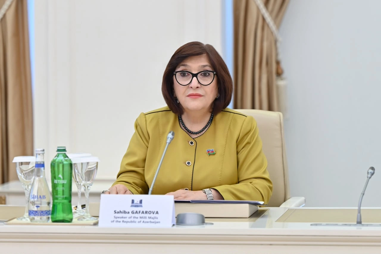 Azerbaijan, Cambodia discuss cooperation in global organizations (PHOTO)
