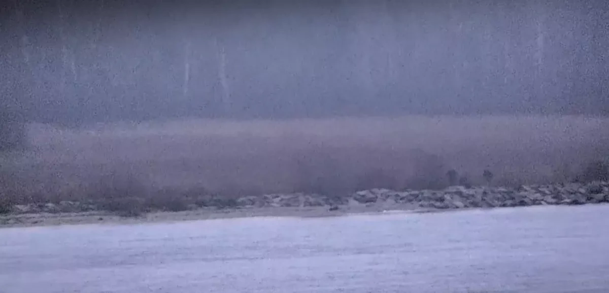 Russian border guards briefly enter Estonia in unexplained incursion VIDEO