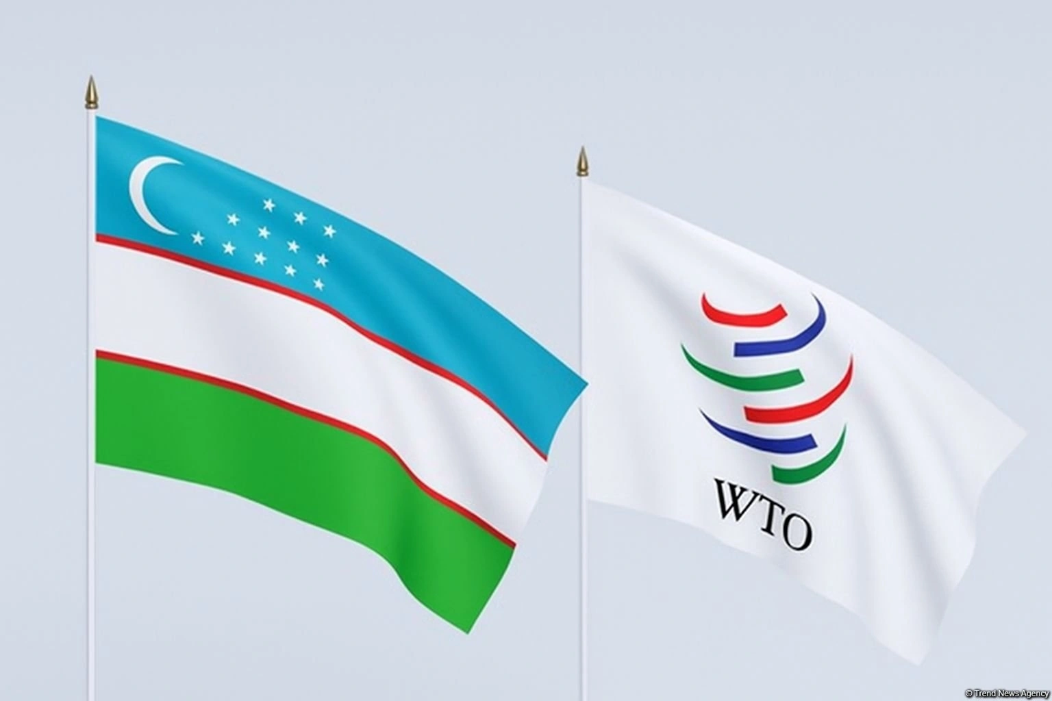 Uzbekistan advances global trade ties with successful WTO talks