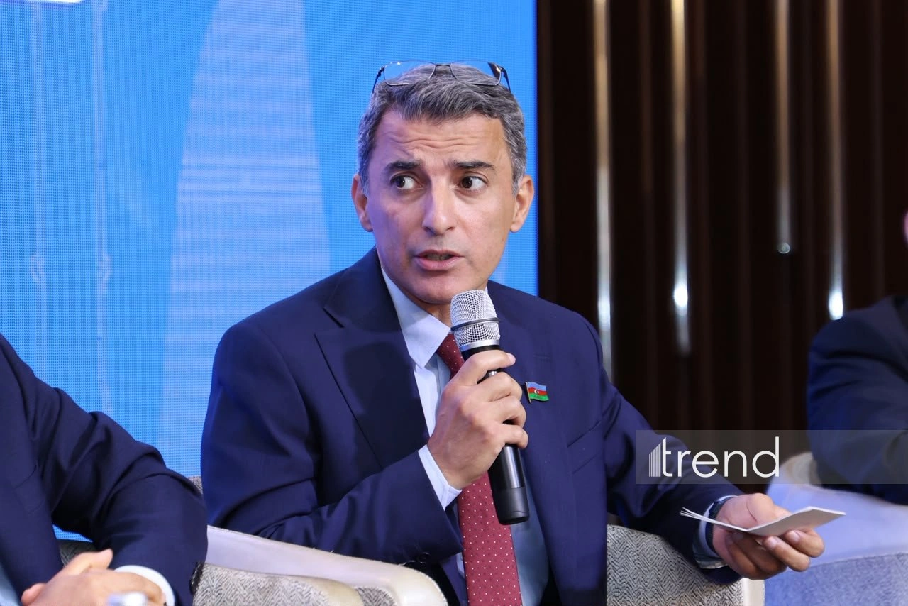 Azerbaijan needs unified statistical report on its int'l assistance - MP