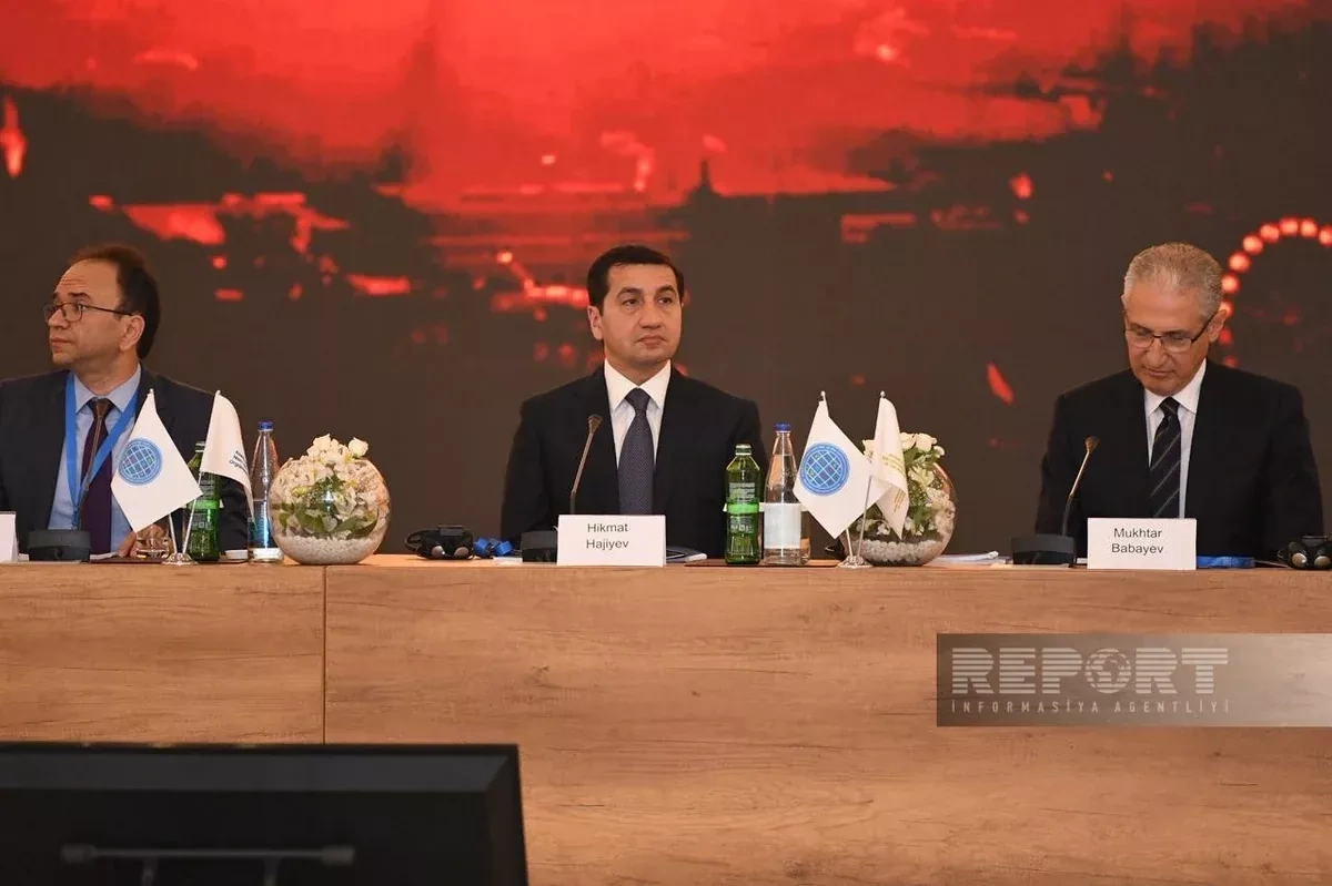 Official: Azerbaijani NGOs may launch joint projects with Global South partners