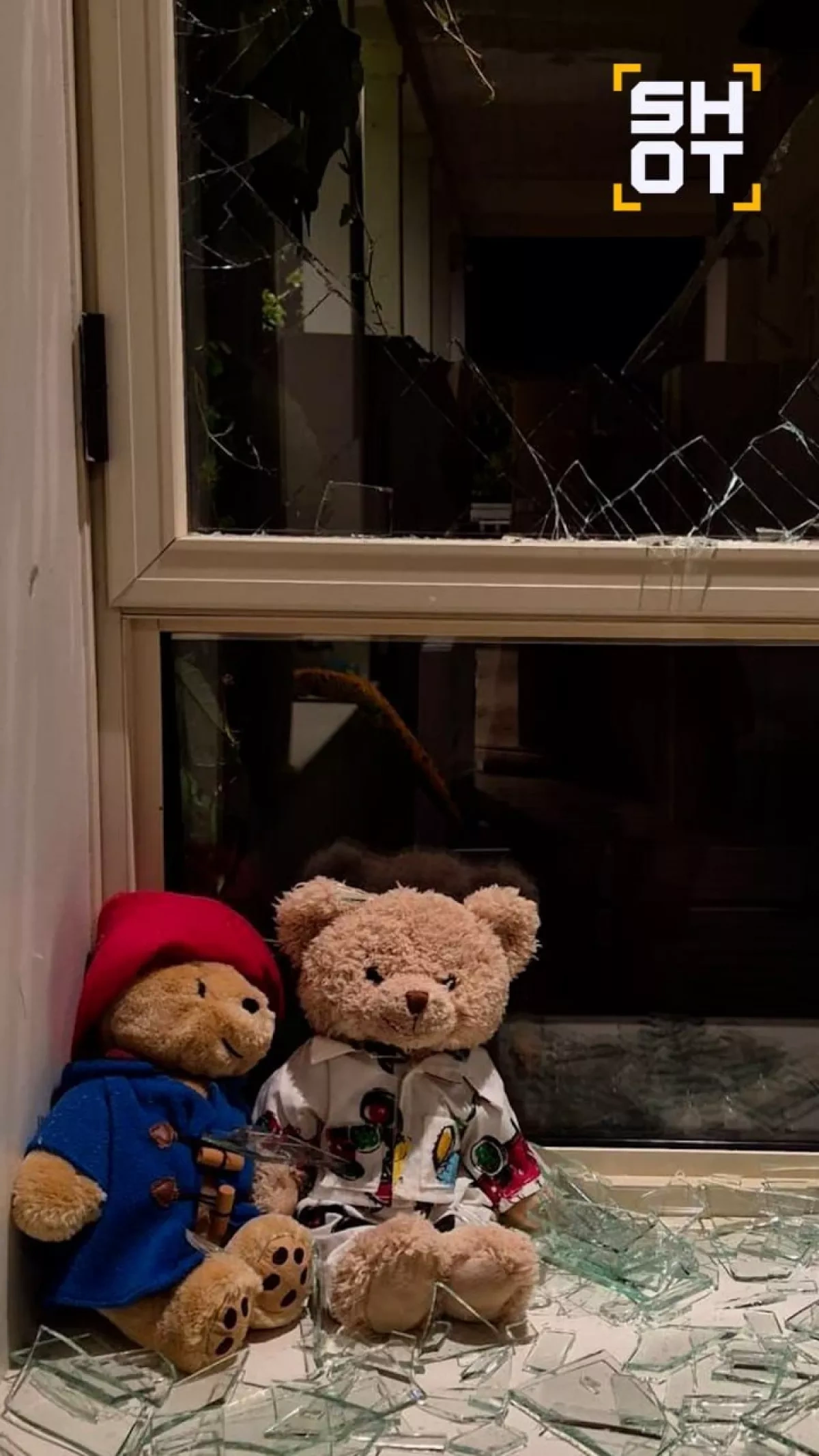 Israeli home of musician Makarevich damaged by missile debris PHOTO
