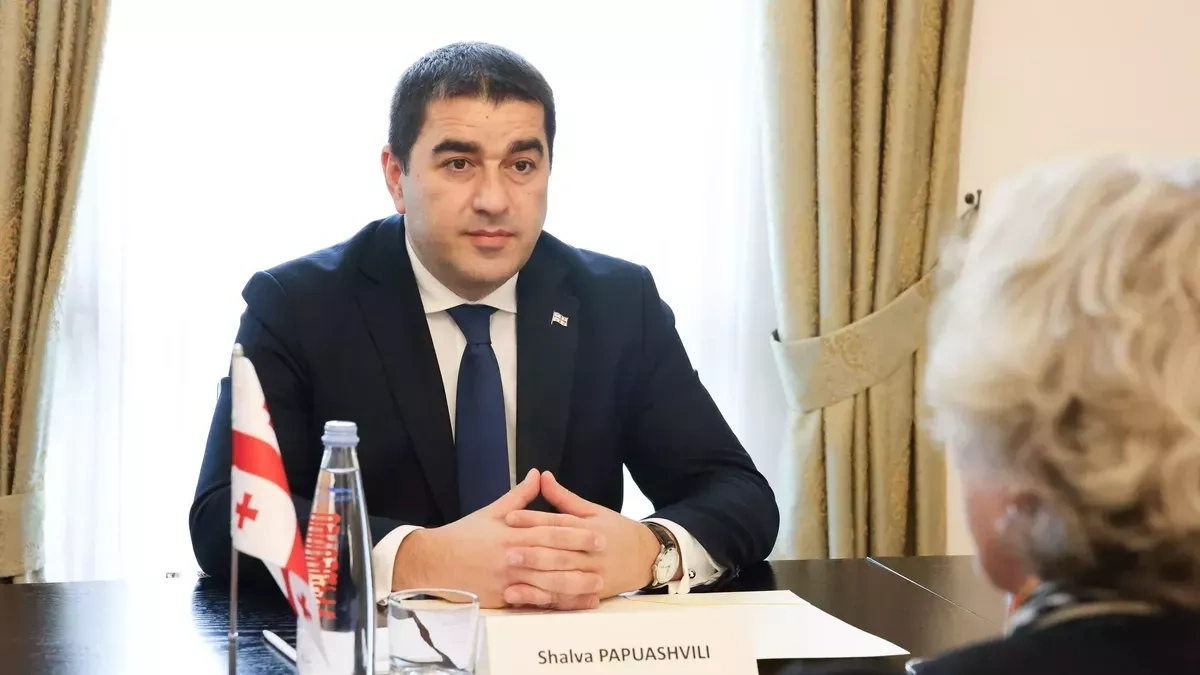 Speaker: Georgia’s NATO “open door” policy fails to deliver real prospects