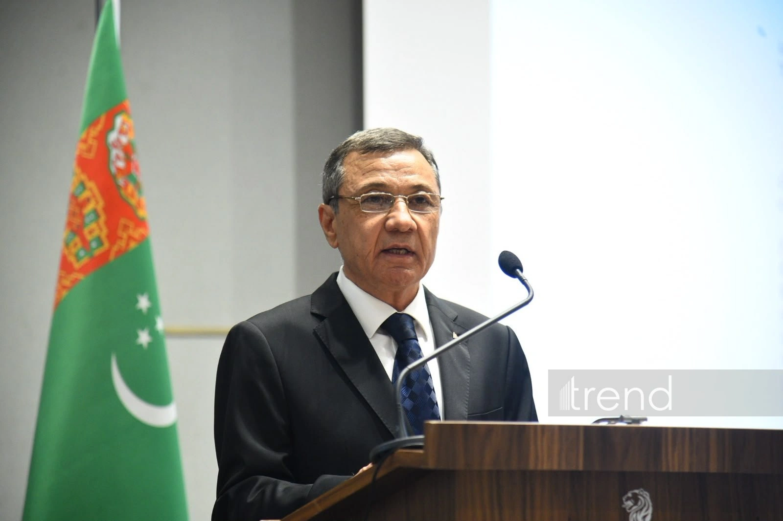 Turkmenistan to host MAMA Mother Nature art exhibition, ambassador says