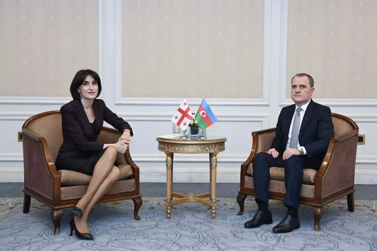 Baku, Tbilisi reaffirm strategic partnership in Istanbul talks