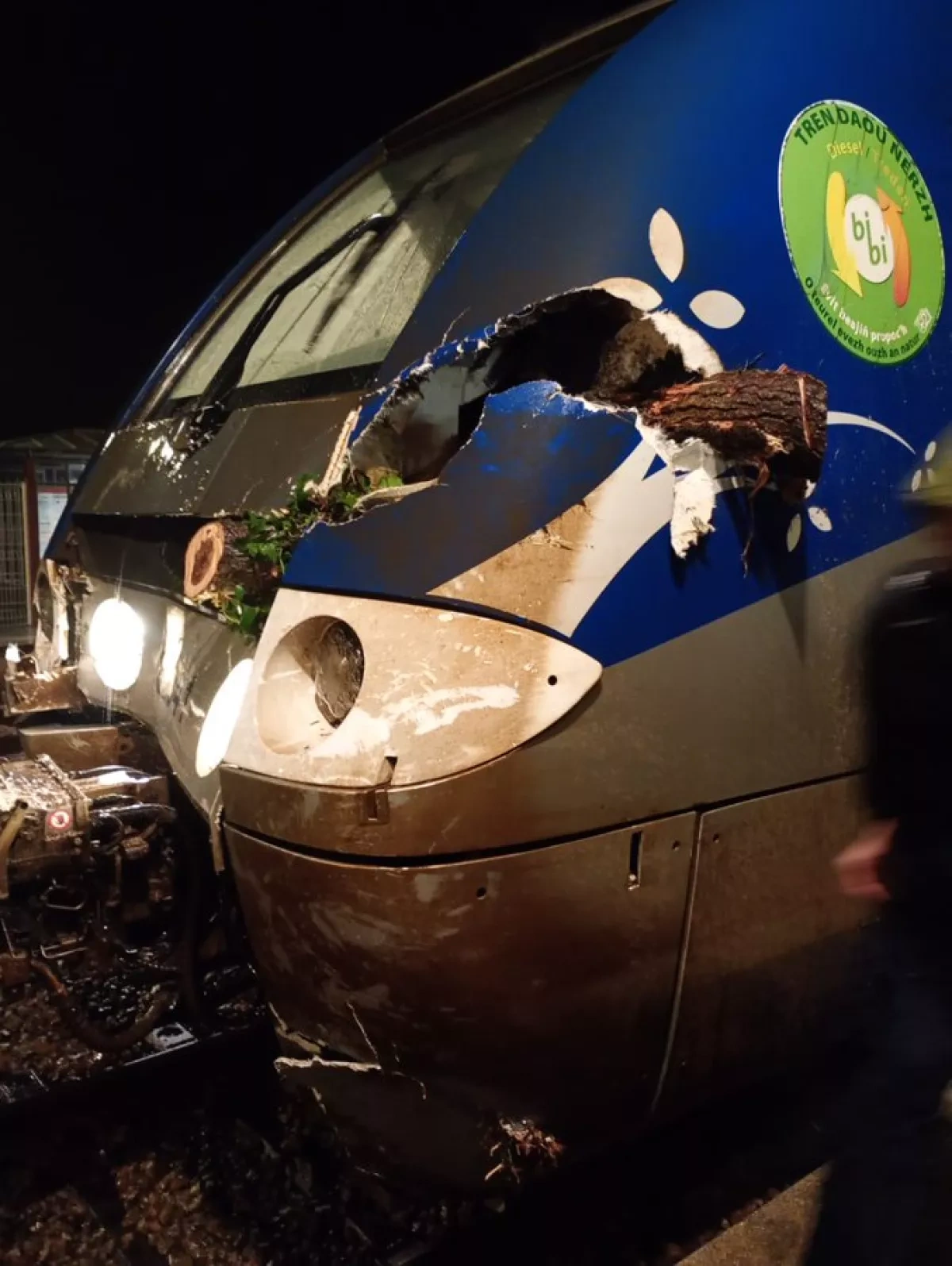 Train carrying 200 passengers hits fallen tree during storm in Brittany