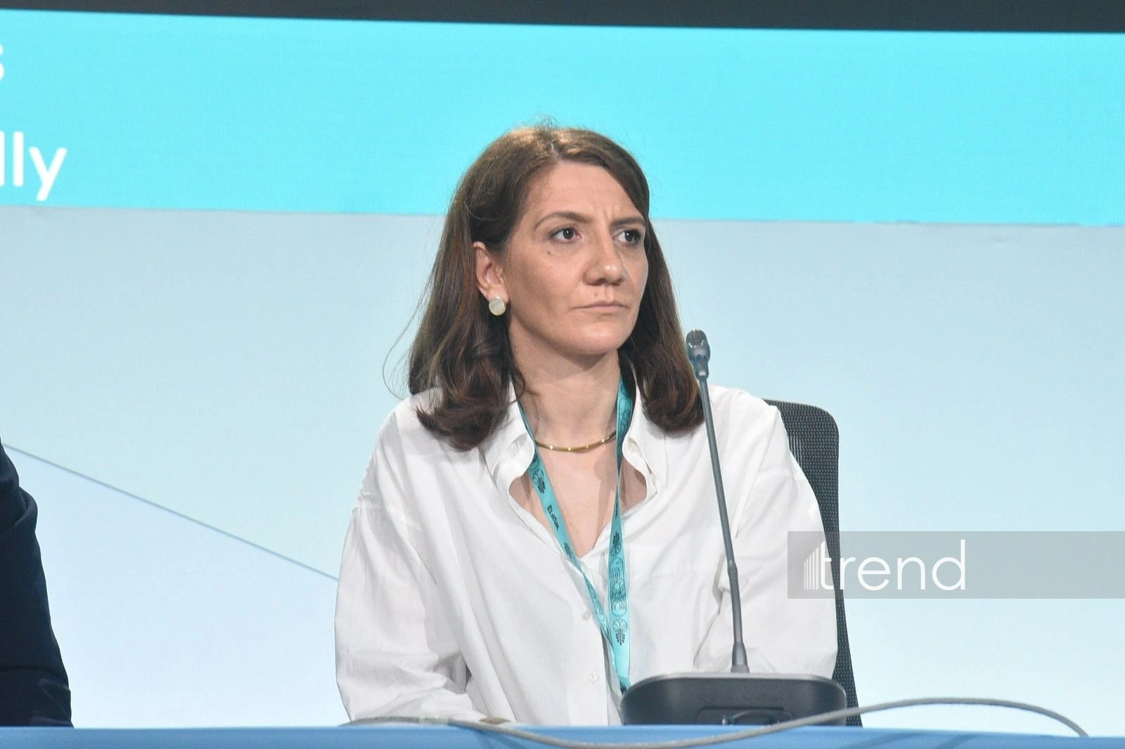 Azerbaijan's experience shows importance of flexible PPP models in housing sector - PwC Director