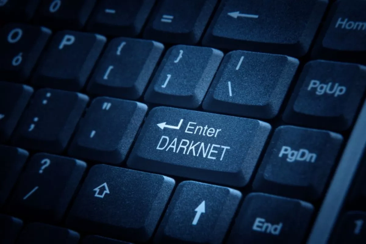 Russian security officials’ data leaked onto dark web