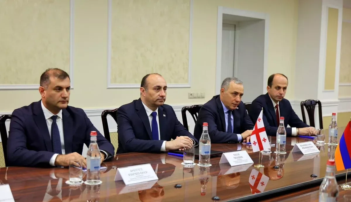 Georgia, Armenia security chiefs discuss regional stability PHOTO