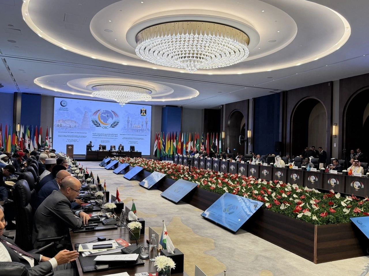 Uzbekistan urges diplomatic resolution of conflicts at OIC meeting