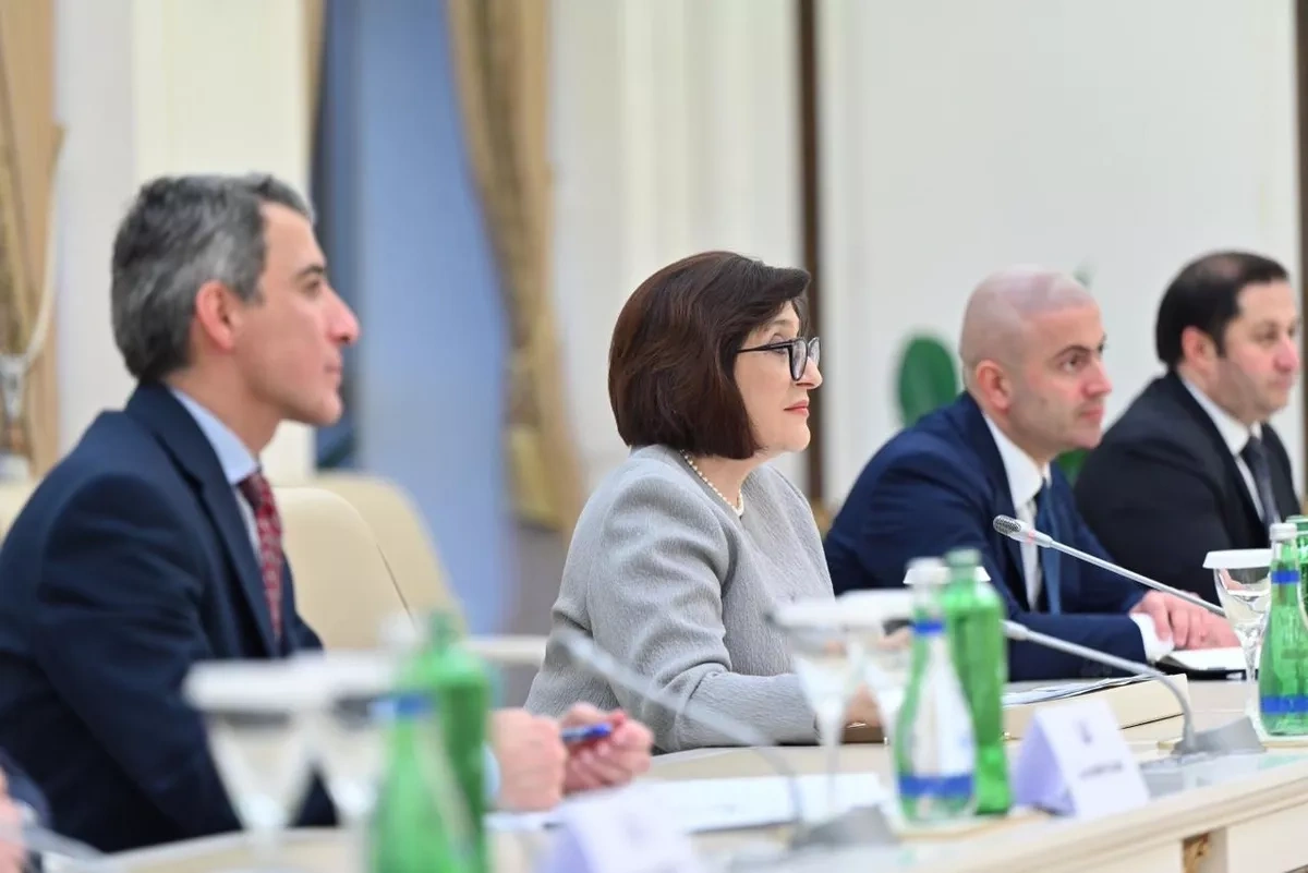 Azerbaijani parliament chairperson, UK trade envoy discuss bilateral ties Photo