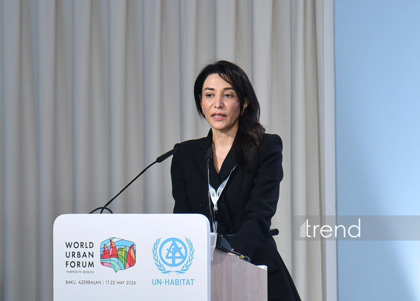 Azerbaijani Ombudsperson calls inclusive cities basis of equal opportunities for people with disabilities