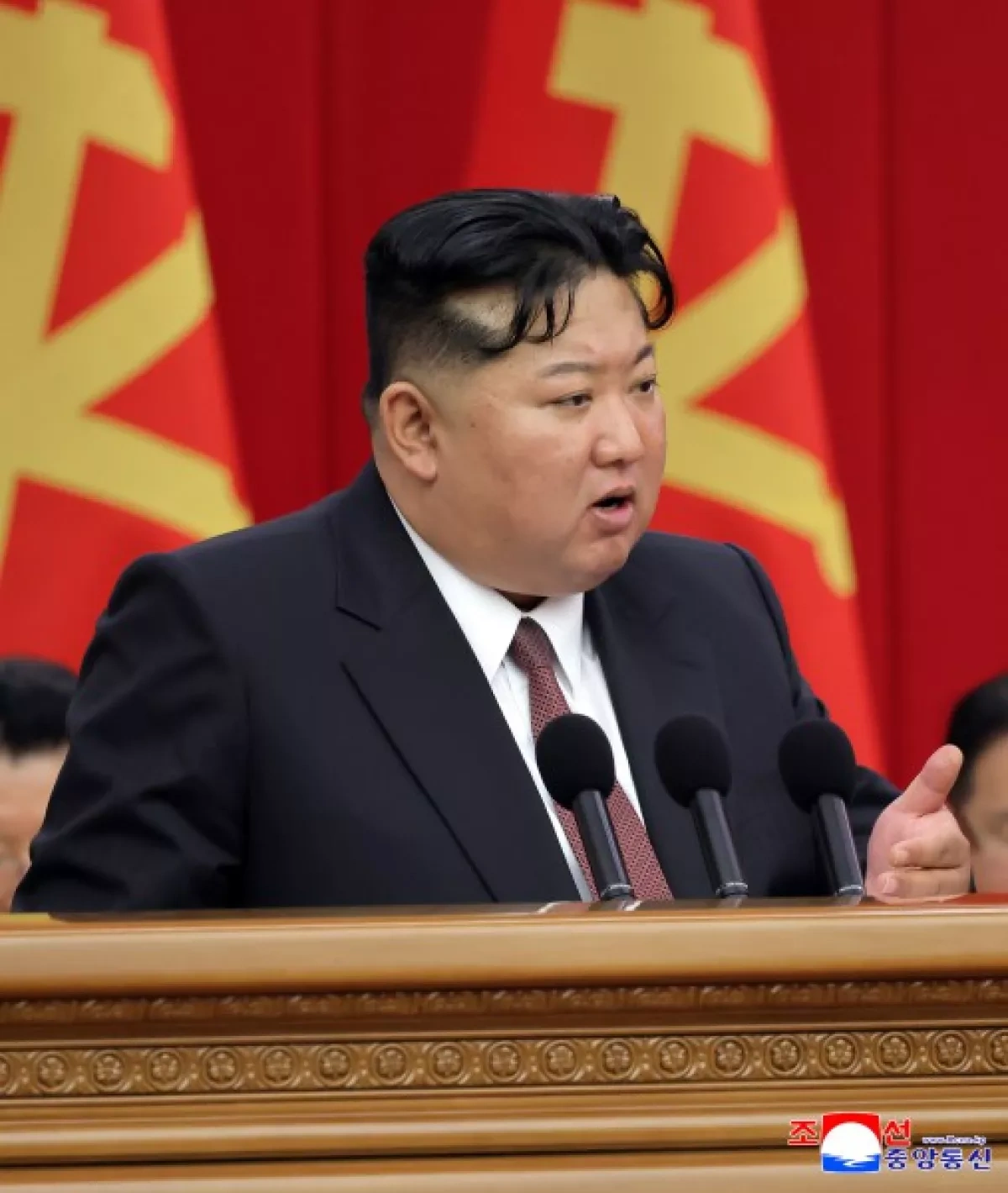 North Korean leader says nuclear state status only way forward
