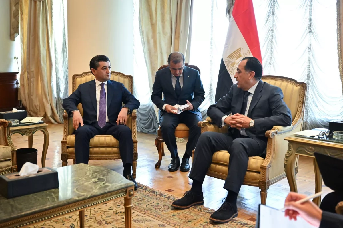 Uzbekistan, Egypt discuss expansion of strategic cooperation in Cairo PHOTO
