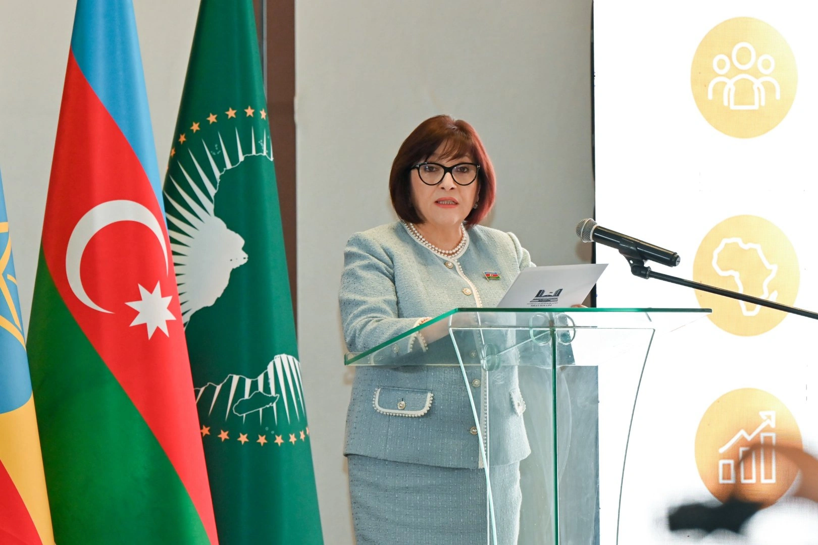 Azerbaijani Parliament's Speaker meets with group of ambassadors in Ethiopia (PHOTO)