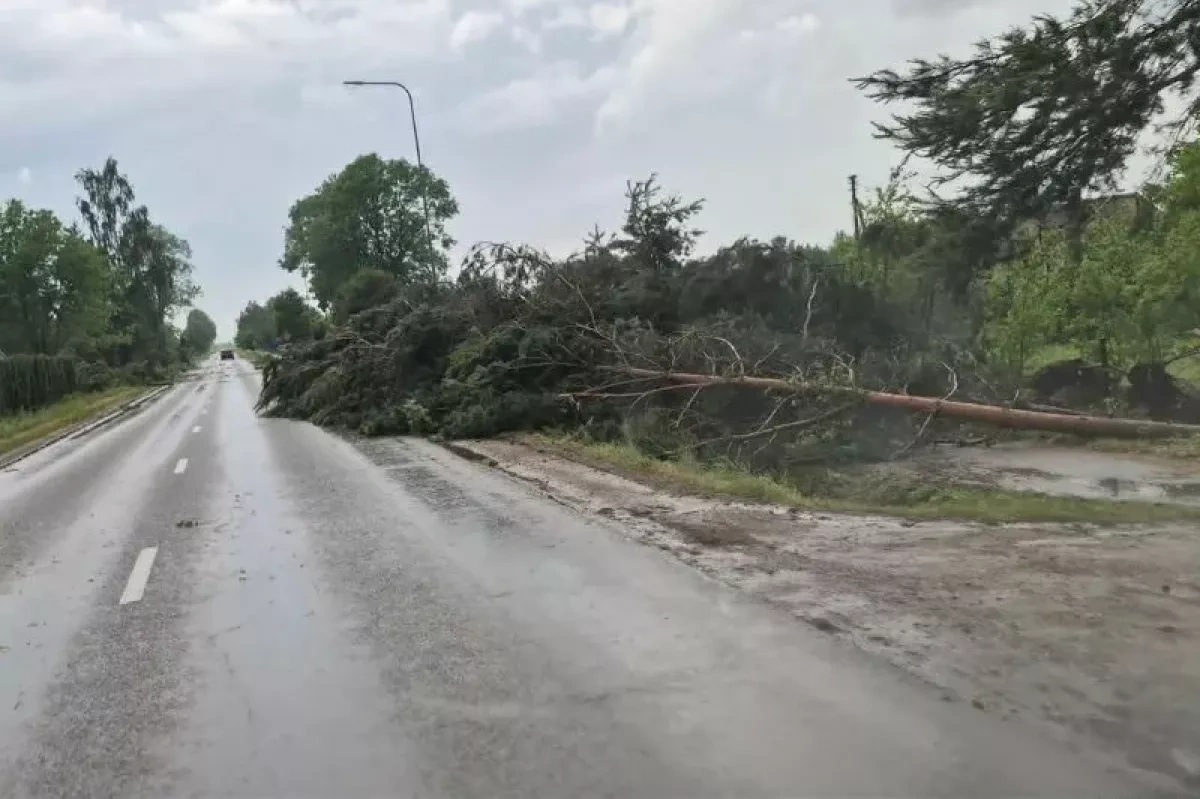 Lithuania faces major power crisis after storm damage