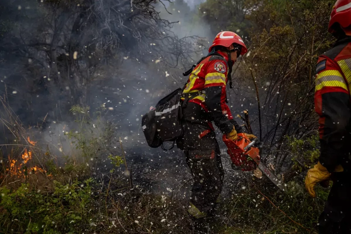 Argentina’s budget cuts fuel wildfire catastrophe in Patagonia