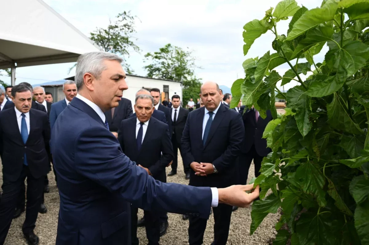 Azerbaijani officials inspect reconstruction, agro projects in Aghdara, Khojaly PHOTO
