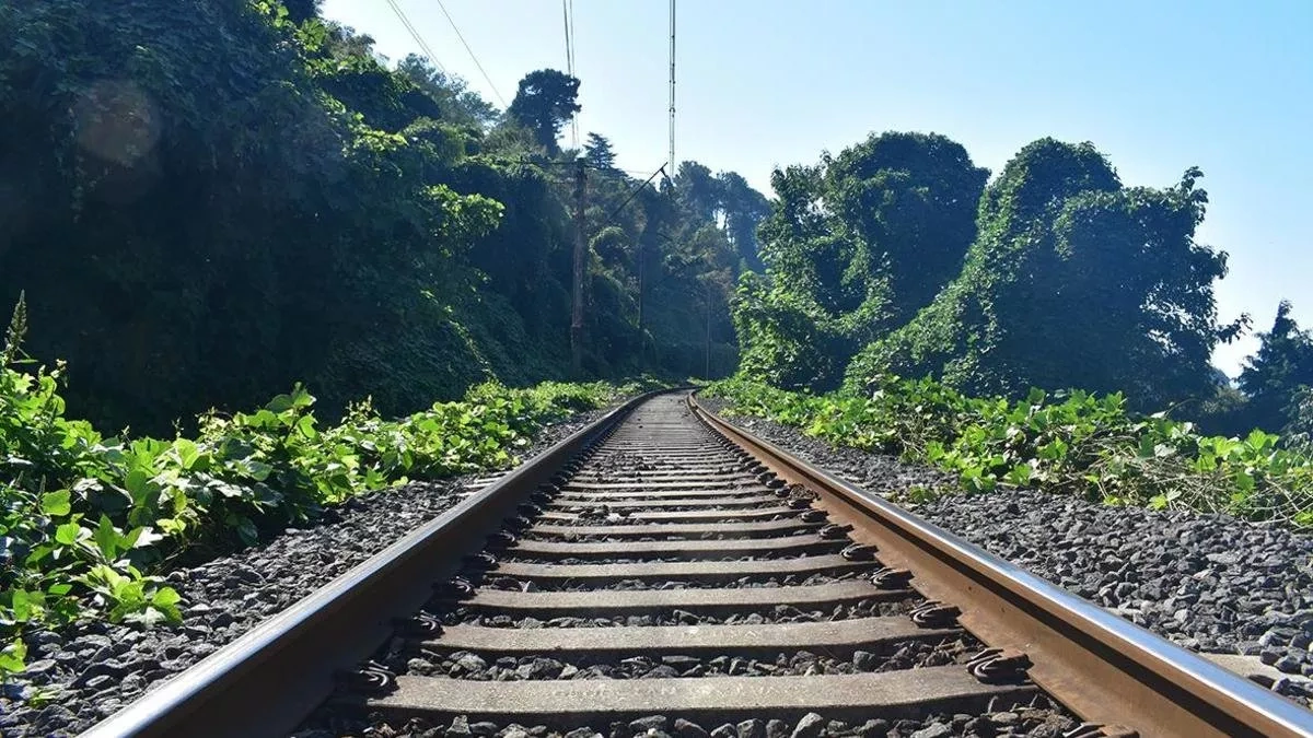 Georgia's rail cargo surges to highest level in 10 years
