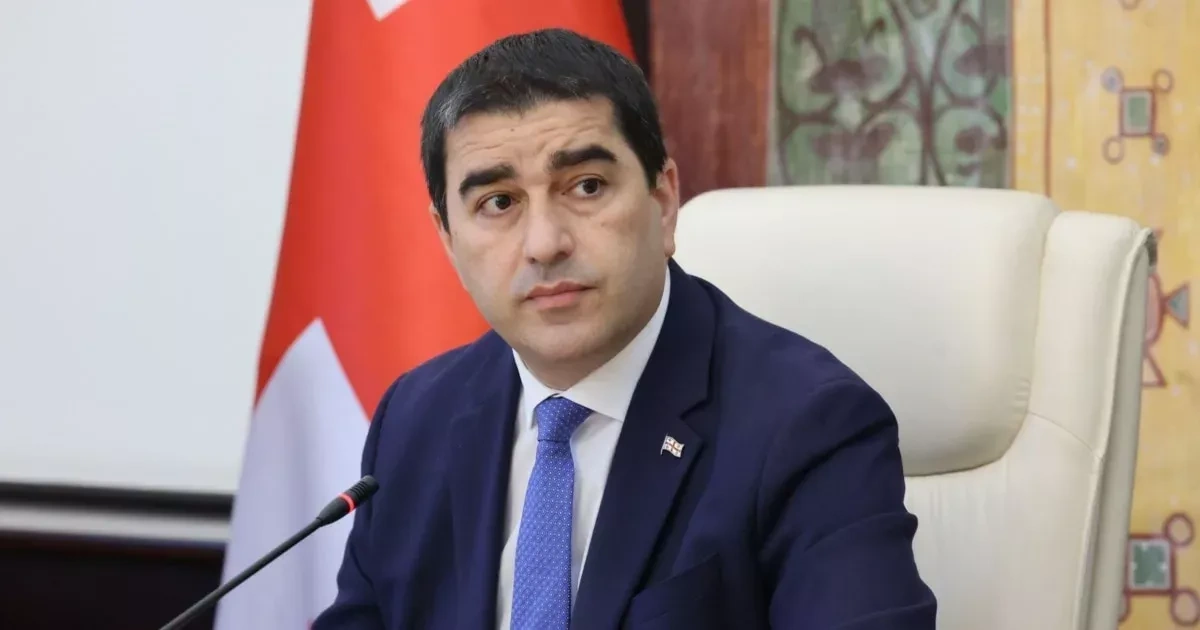 Georgian speaker says Brussels sees his country as dish on menu