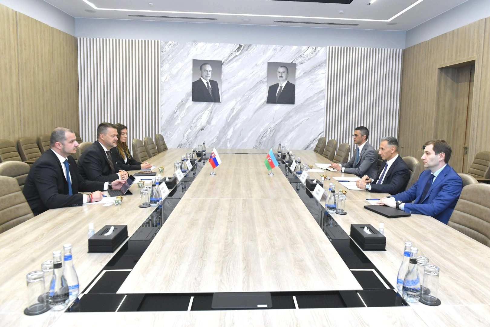 Azerbaijan, Slovakia kick off talks on e-government and space co-op (PHOTO)