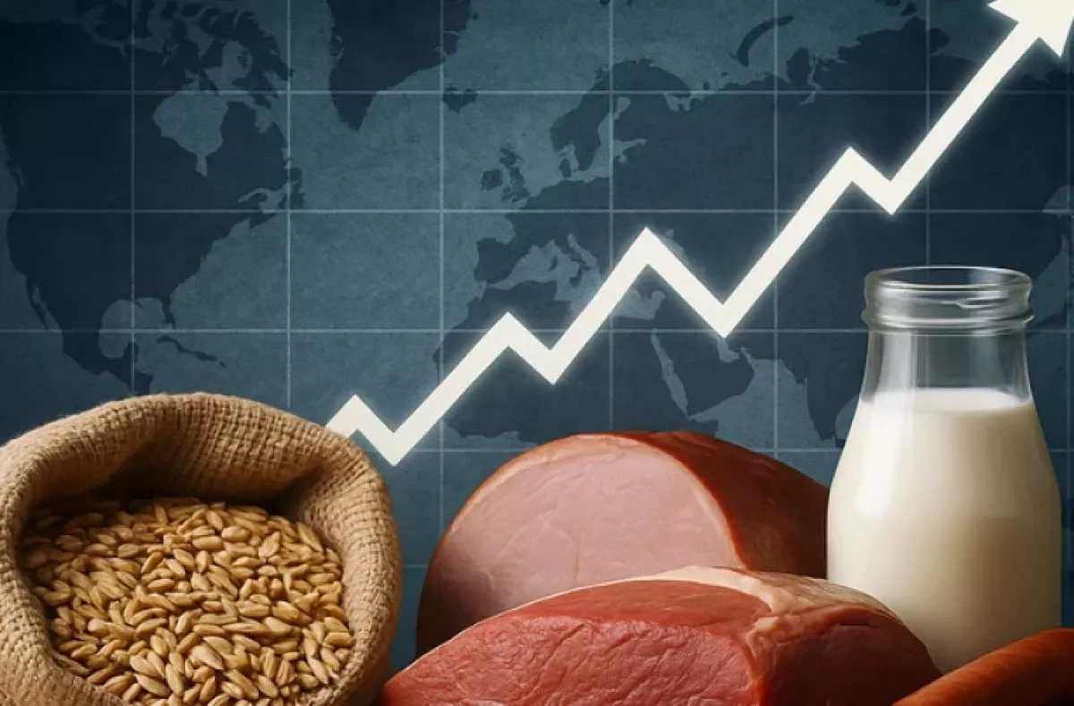 Global food prices hit highest level since January 2023, FAO says