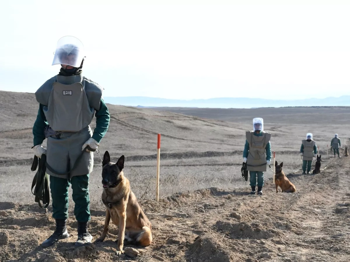 Azerbaijan detects, neutralises over 320 unexploded munitions in Karabakh ANAMA WEEKLY REPORT /Photo