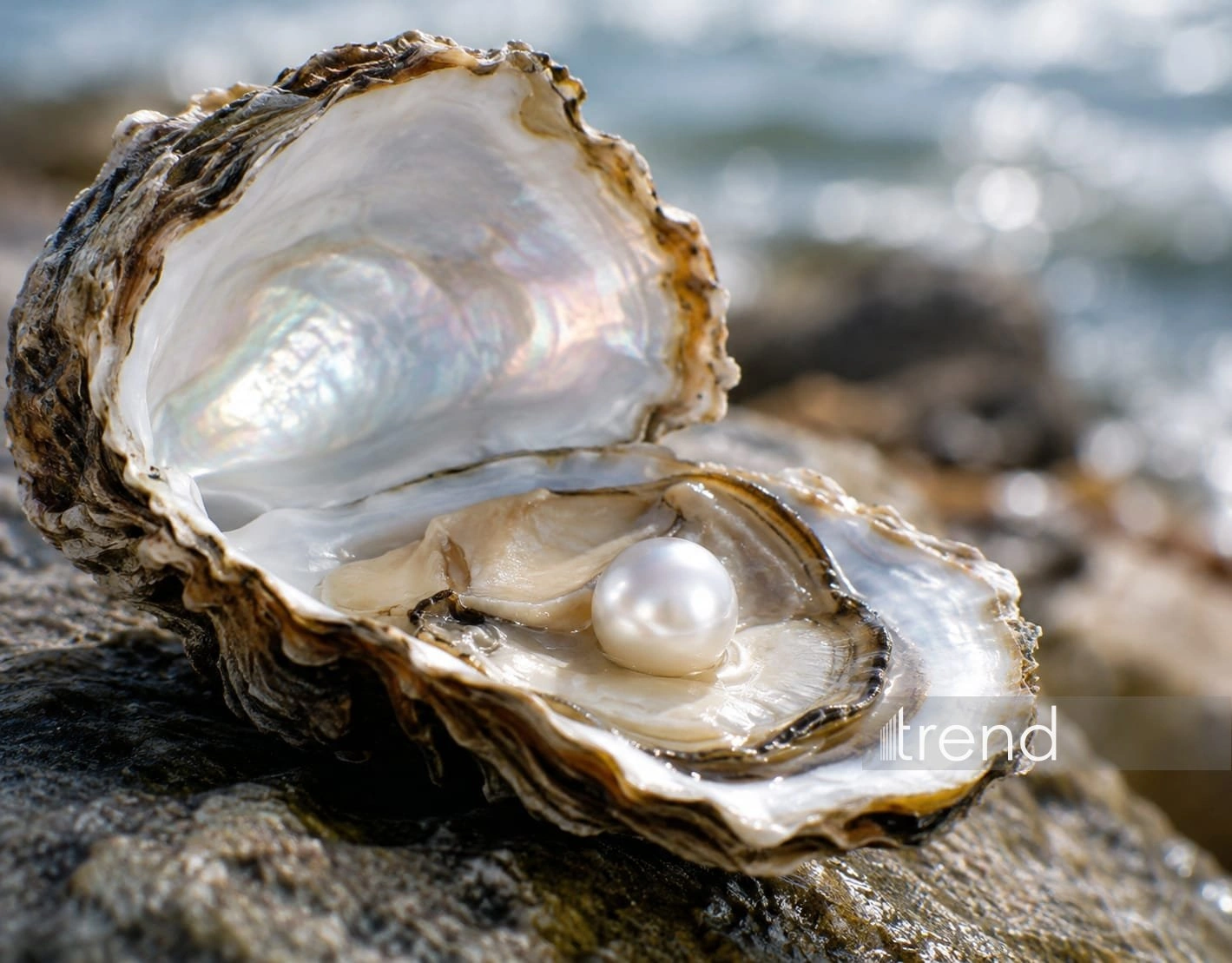 Azerbaijan adopts pearl standard to improve market transparency