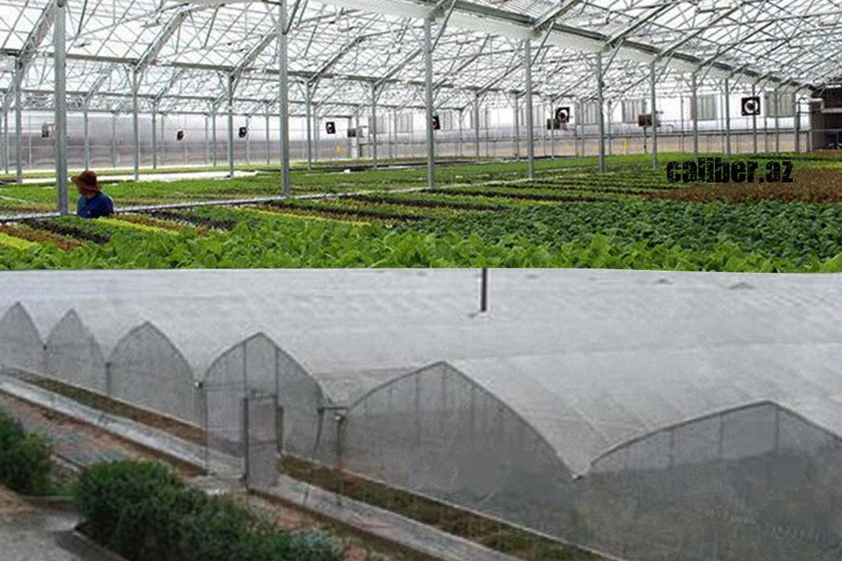 IsDB invests in agriculture: $436 million boost for Azerbaijan’s farms Caliber.Az review