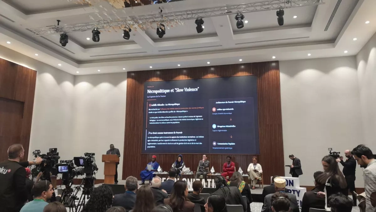 Togo representative: Neocolonialism undermines international law