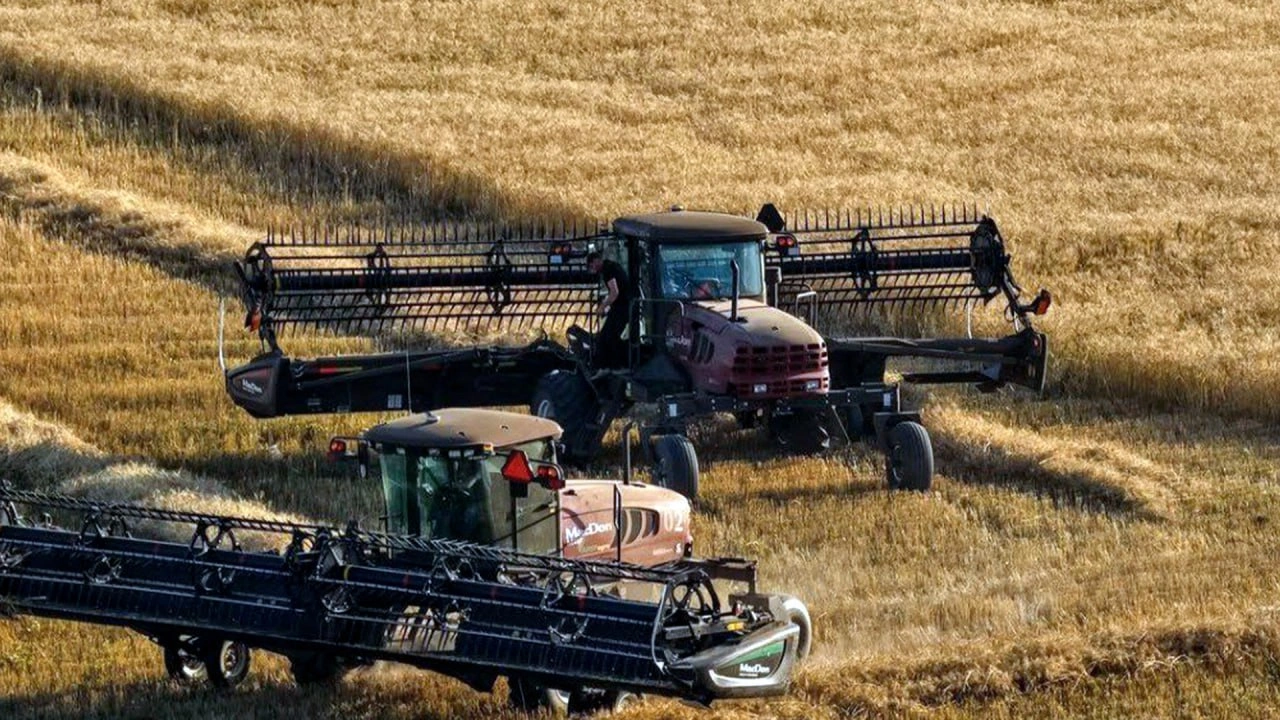 Kyrgyzstan nurtures agricultural cooperation and quality transformation