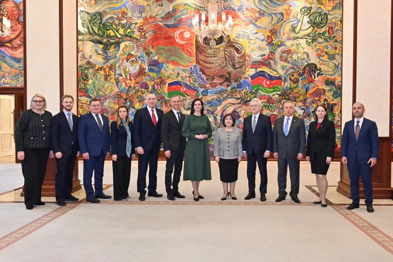 Azerbaijani and Lithuanian parliaments brainstorm enhancement of cooperation (PHOTO)